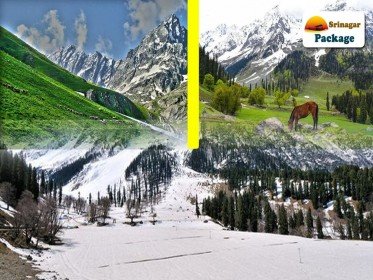 Beauty-of-Srinagar-Package.jpg