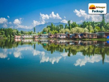 Glimpse-Of-Srinagar.jpg