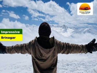 Impressive-Srinagar-Package.jpg