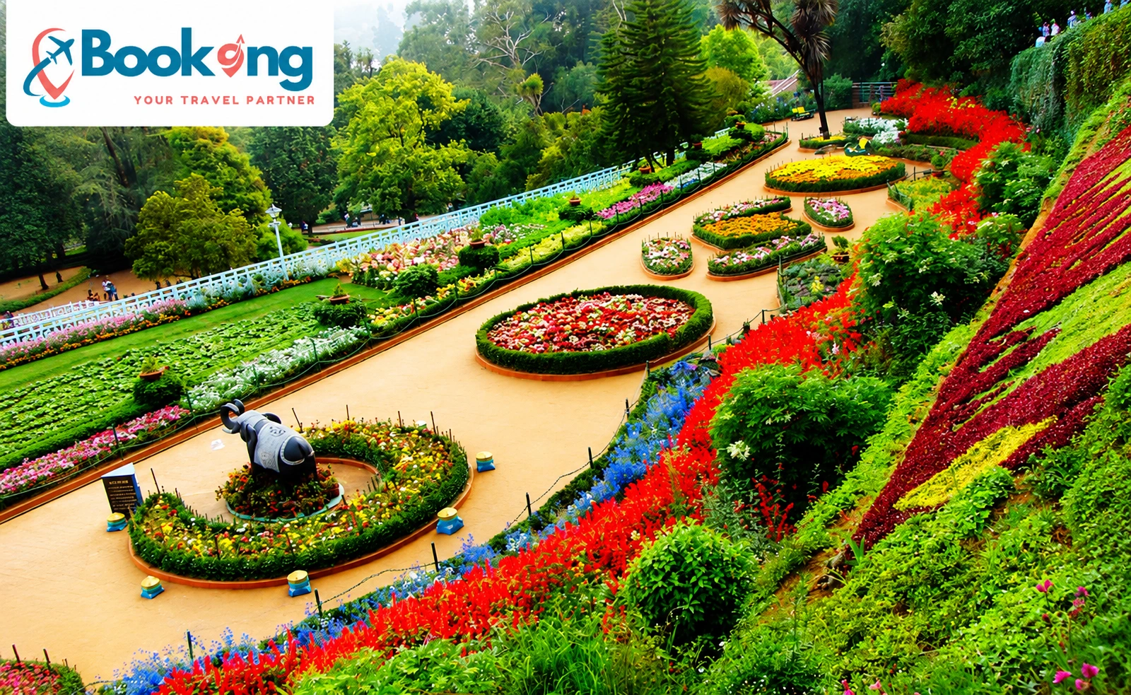 Tour a Tea Factory in Ooty