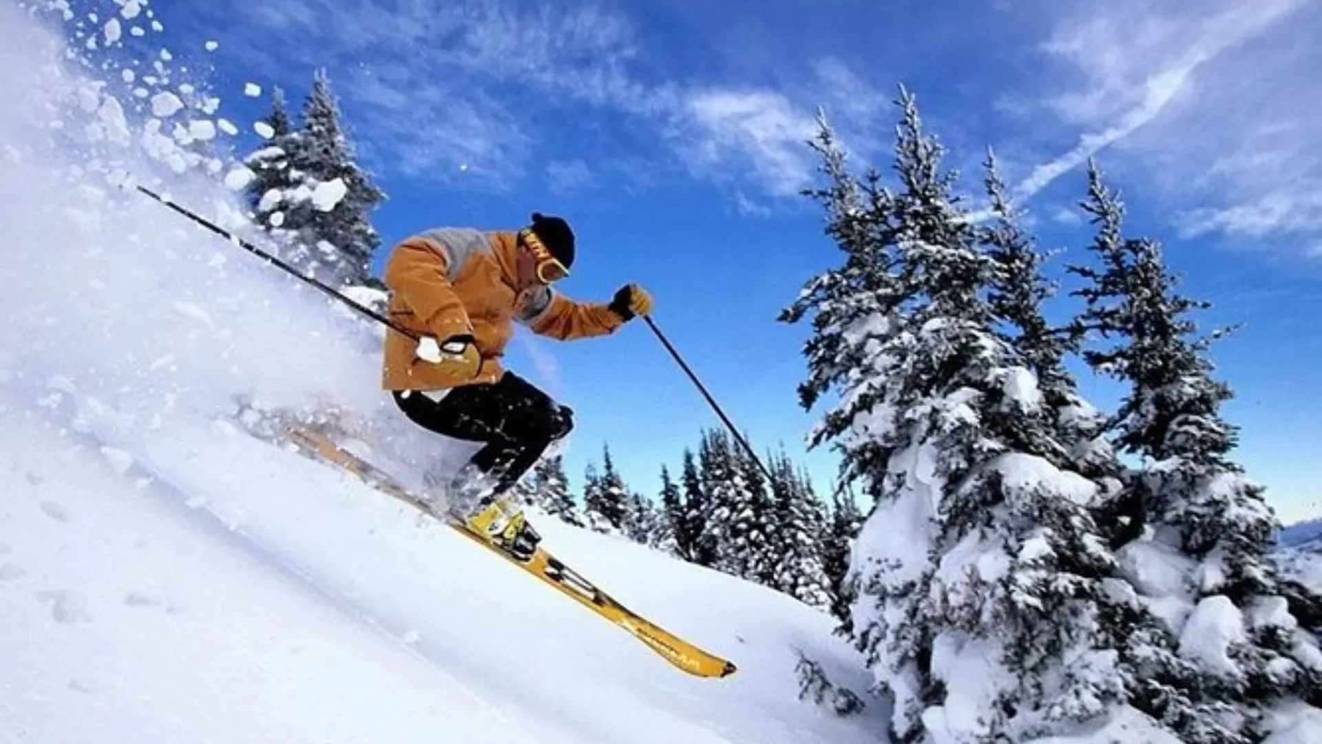 Ski Course image 3