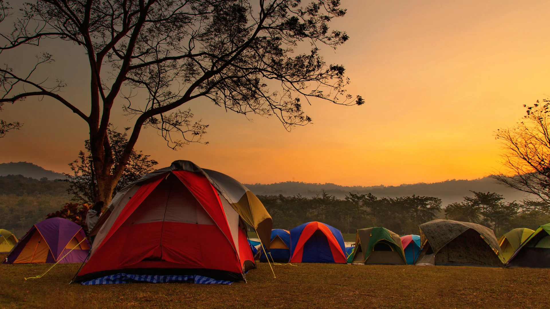 Camping in Darjeeling image 2