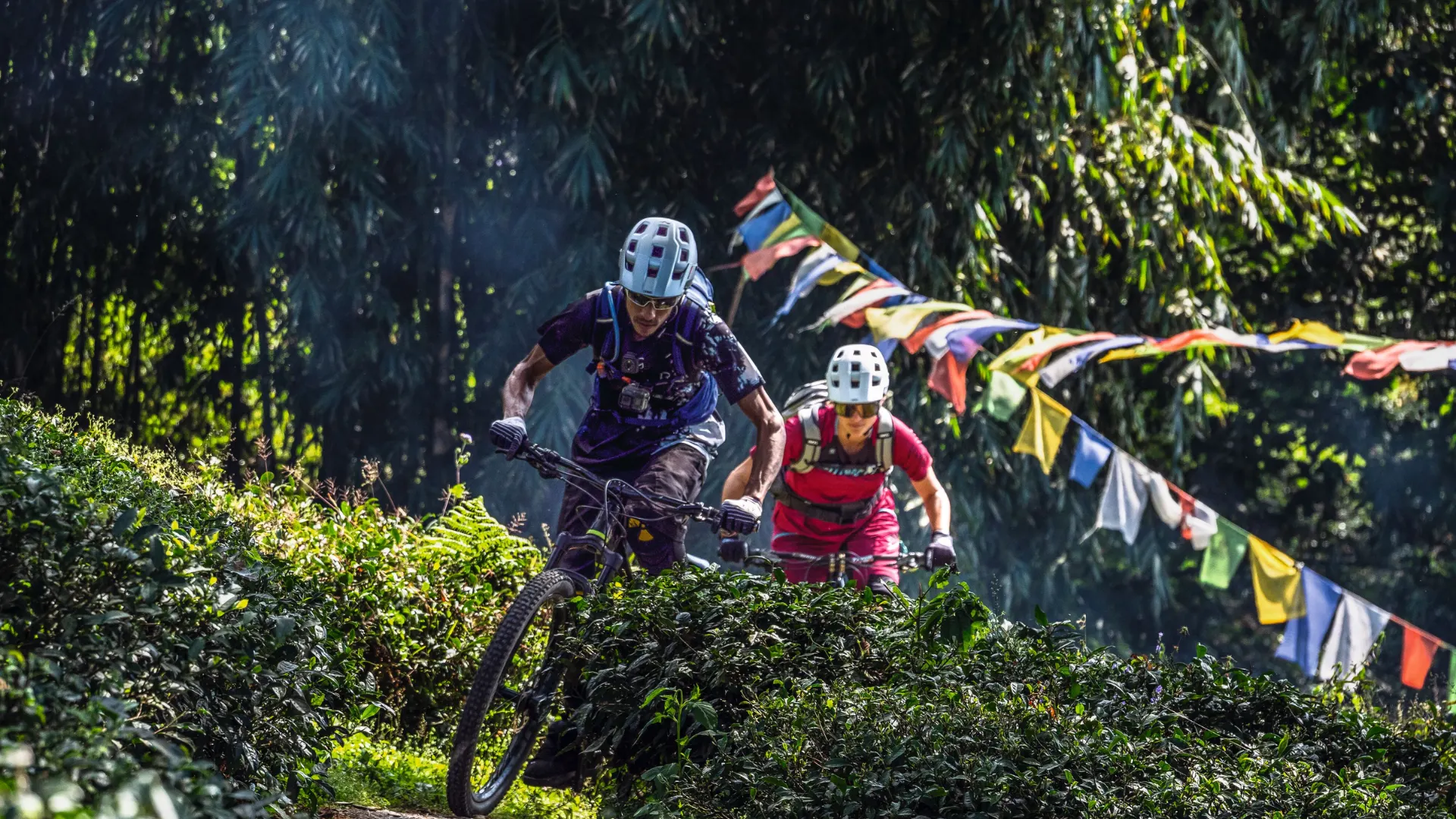 Mountain Biking in Darjeeling