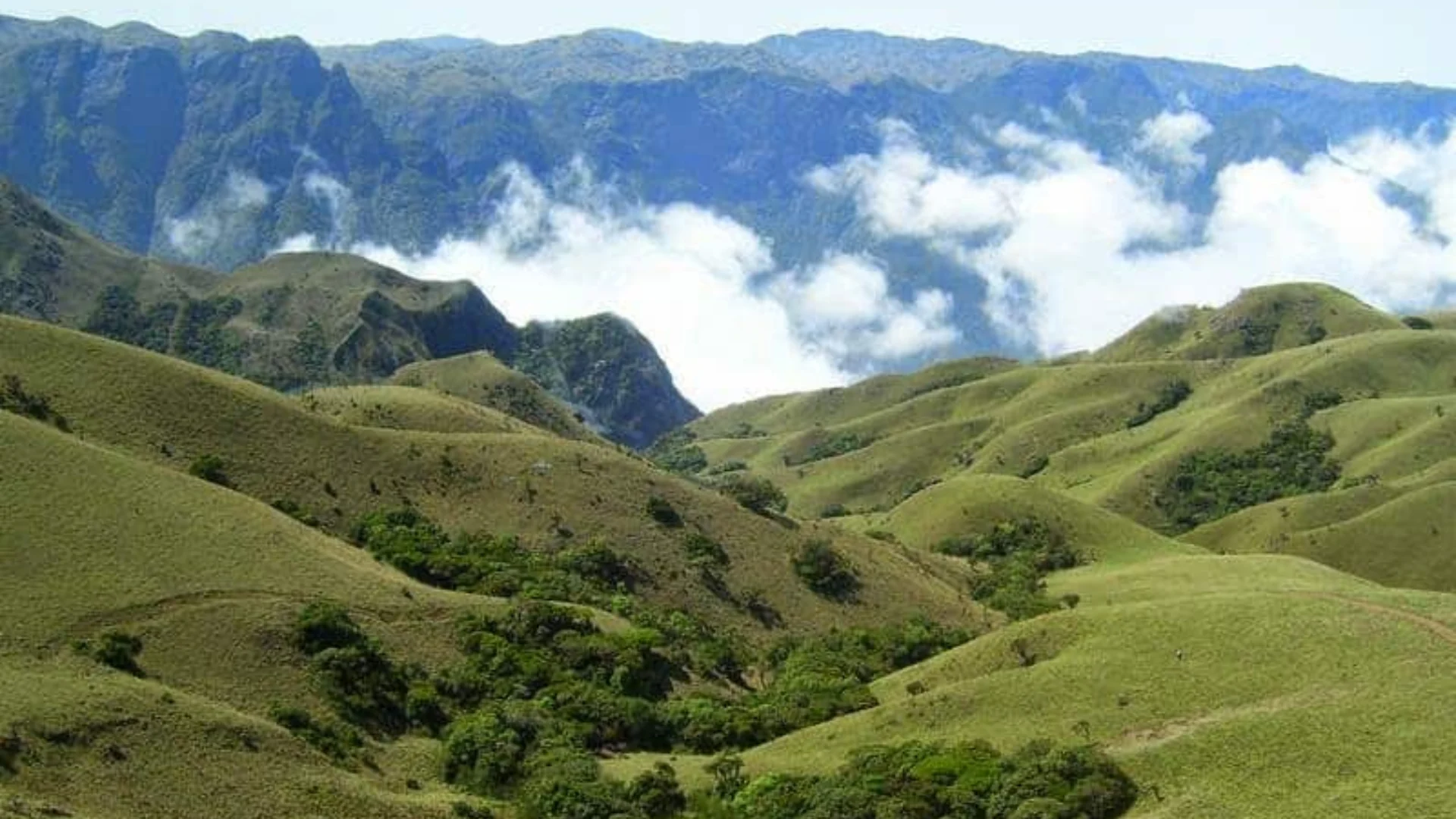 Explore the Forests of Mukurthi National Park in Ooty