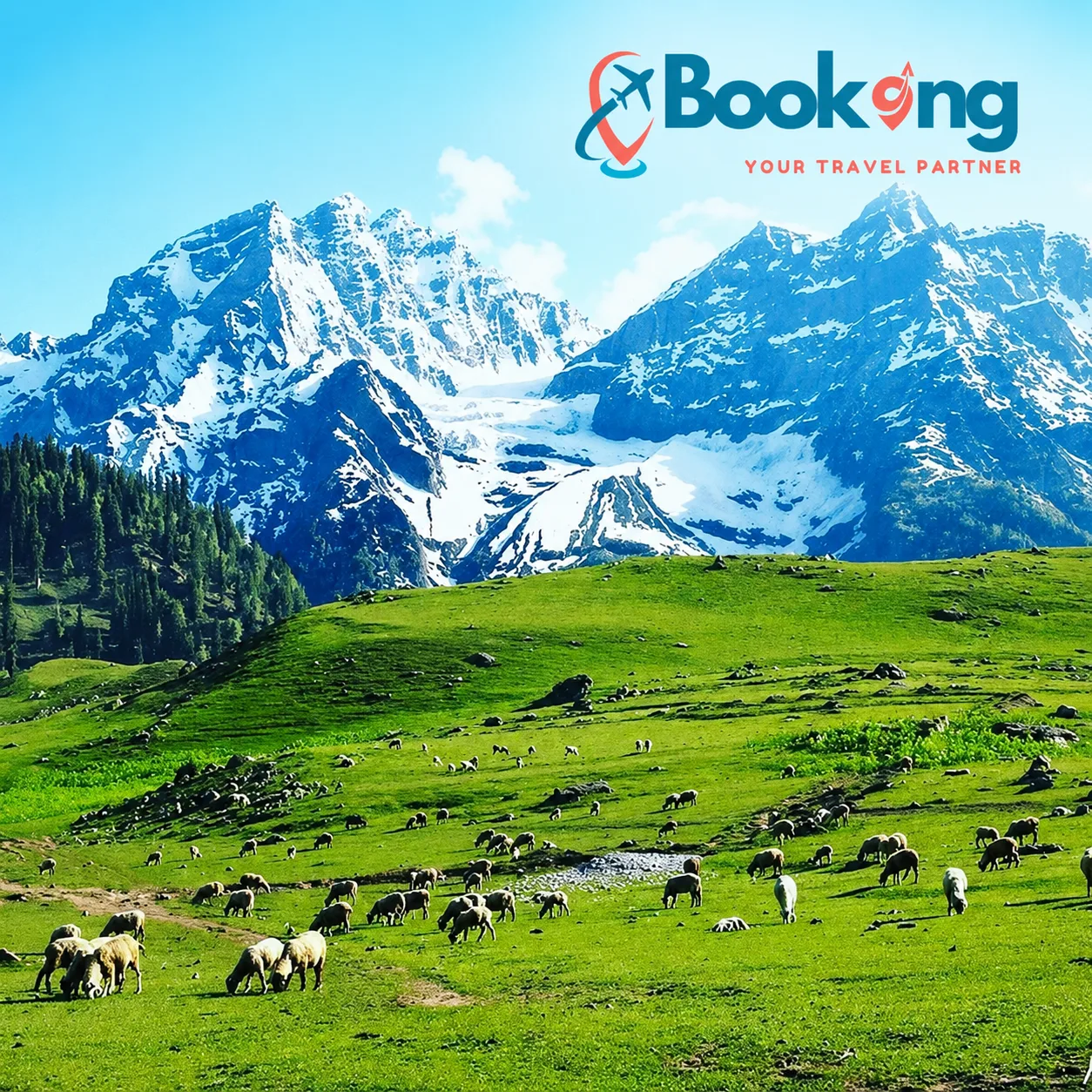KASHMIR 8 DAYS / 7 NIGHTS
