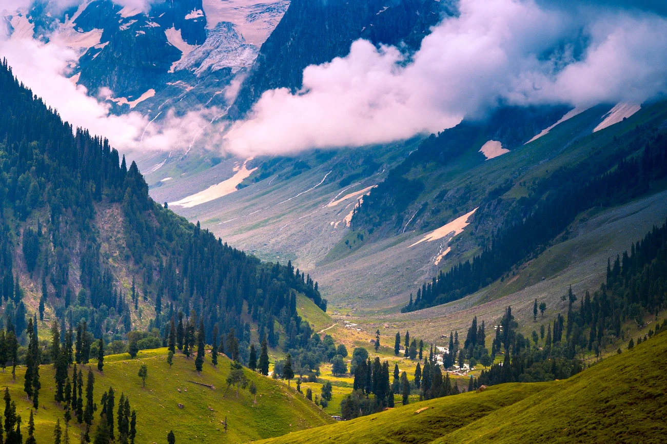 Kashmir Calling: From Dal Lake to Gulmarg, Discover the Paradise Within