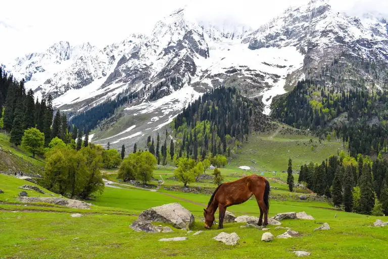 Kashmir Tour Package – A Complete Guide to Planning Your Dream Vacation