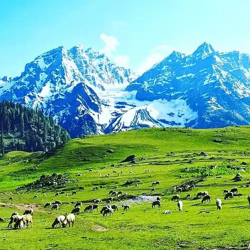 Kashmir Calling: Discover Paradise on Your Next Dream Trip