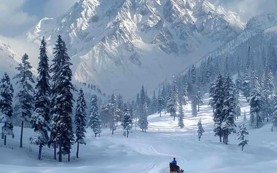 Kashmir 5 day / 4 night package with I Booking Holidays