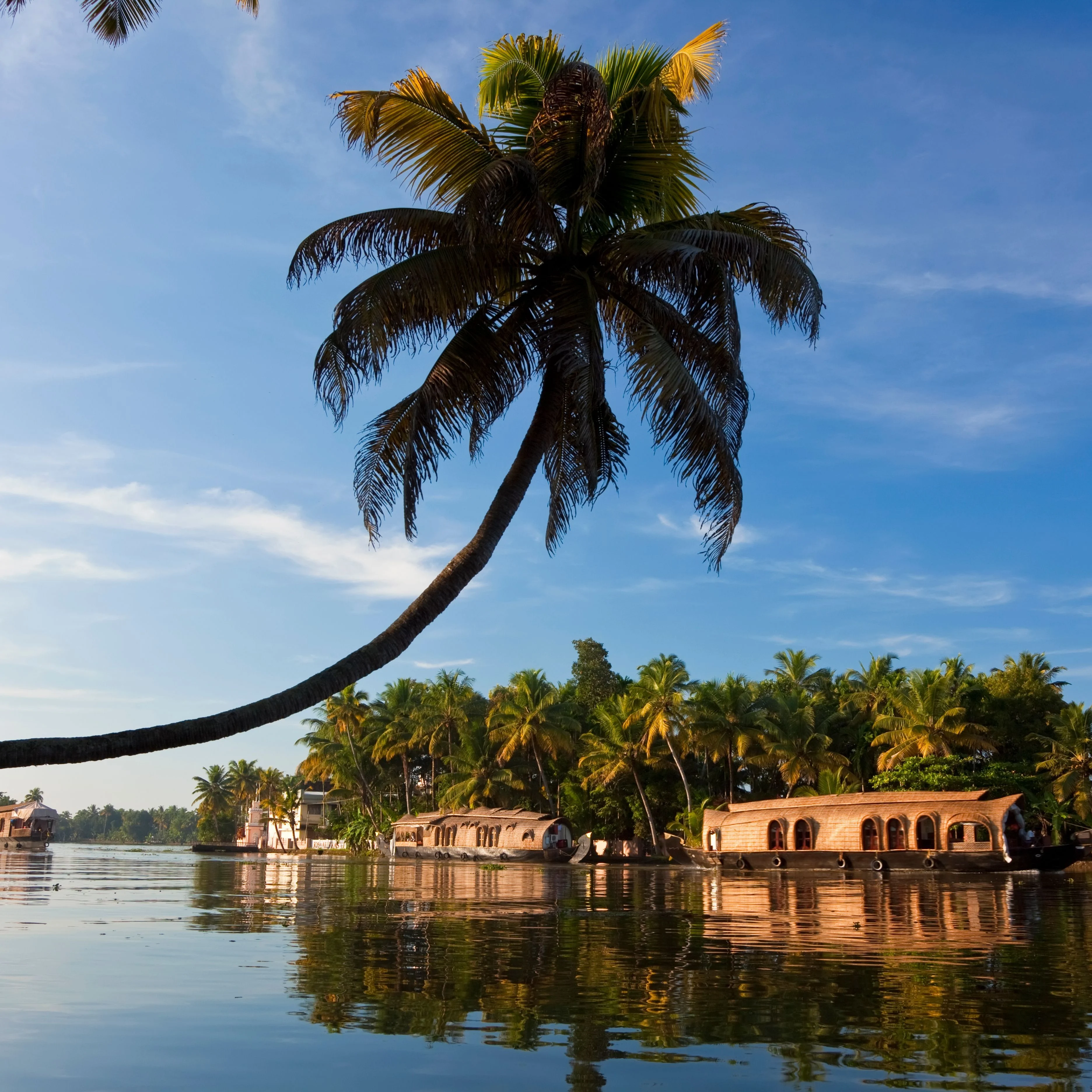 Kerala Tour Packages – Explore God's Own Country with I Booking Holidays