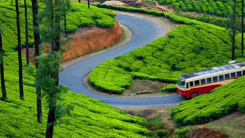 Munnar Alleppey Tour Package