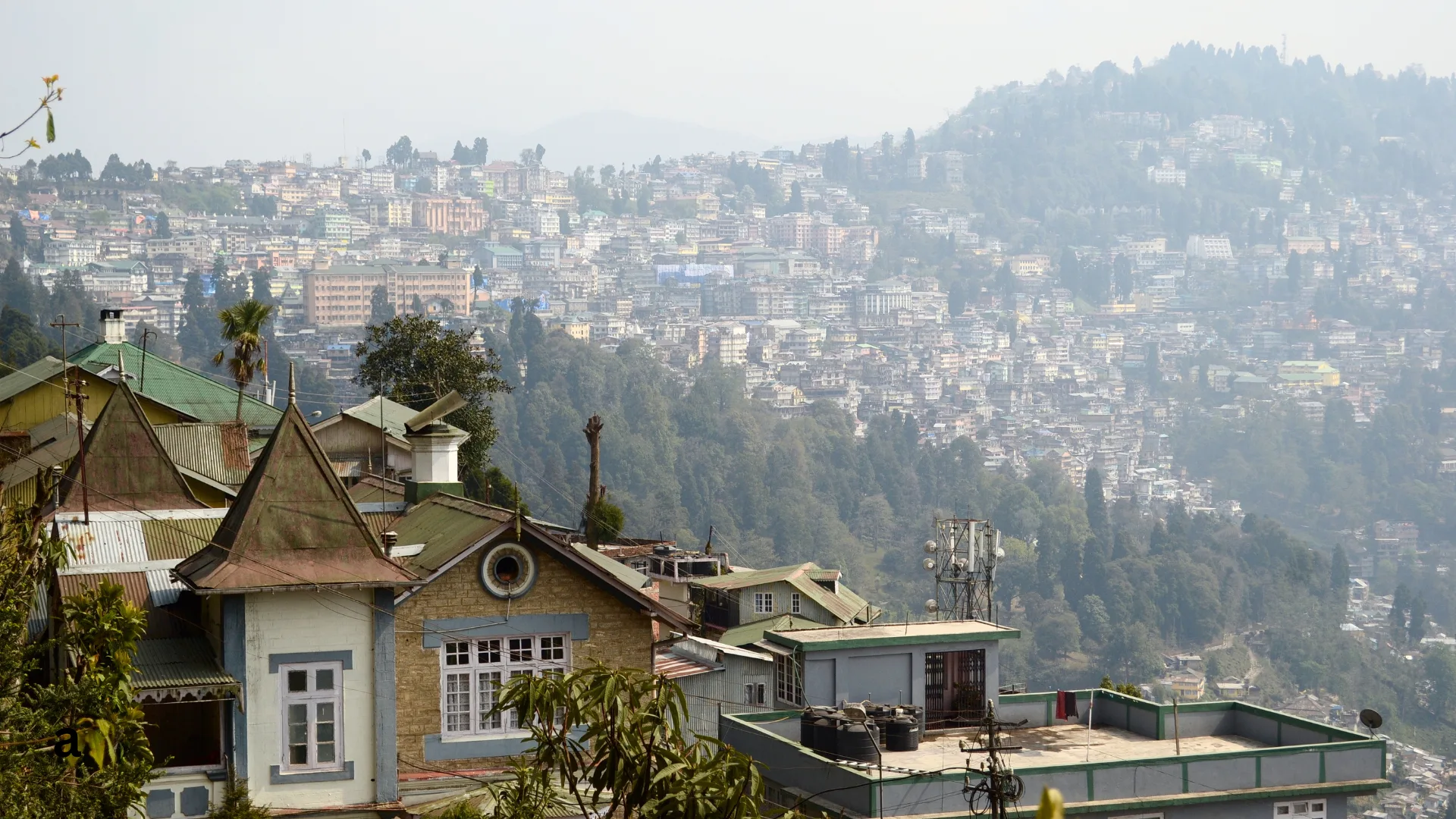 Darjeeling Hill Station Special