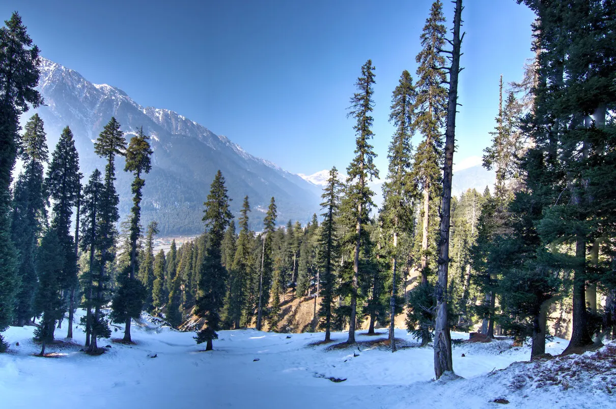 Kashmir Nature Break