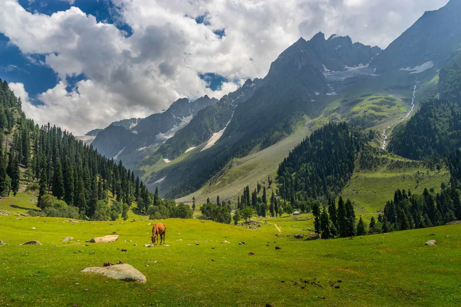 Kashmir Valley Tour