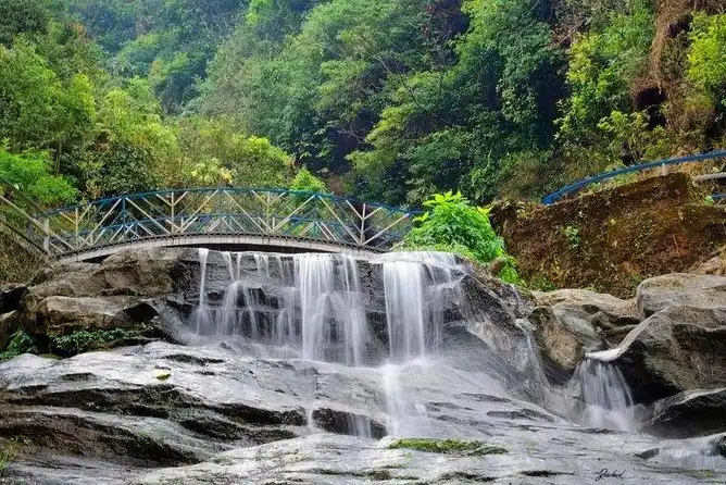 Darjeeling Bliss Tour