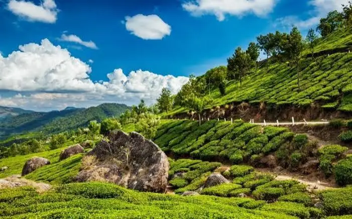 Munnar Green Escape Tour