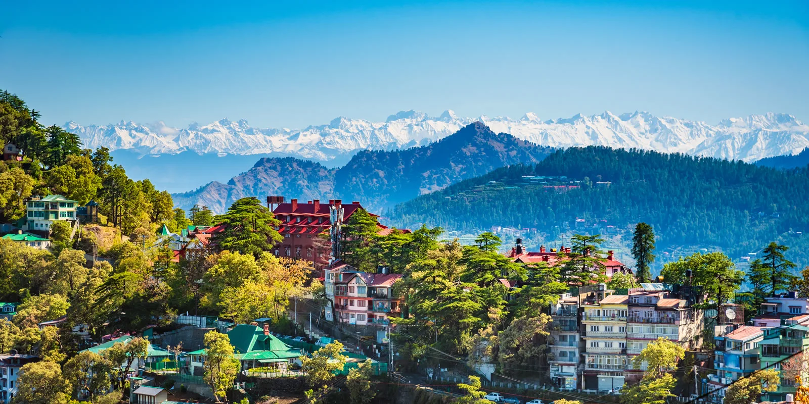 Shimla Bliss Tour