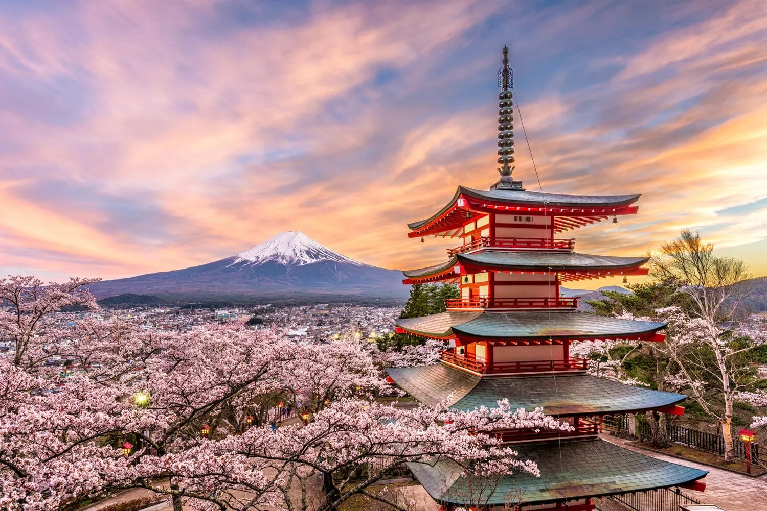 Tokyo Holiday Package