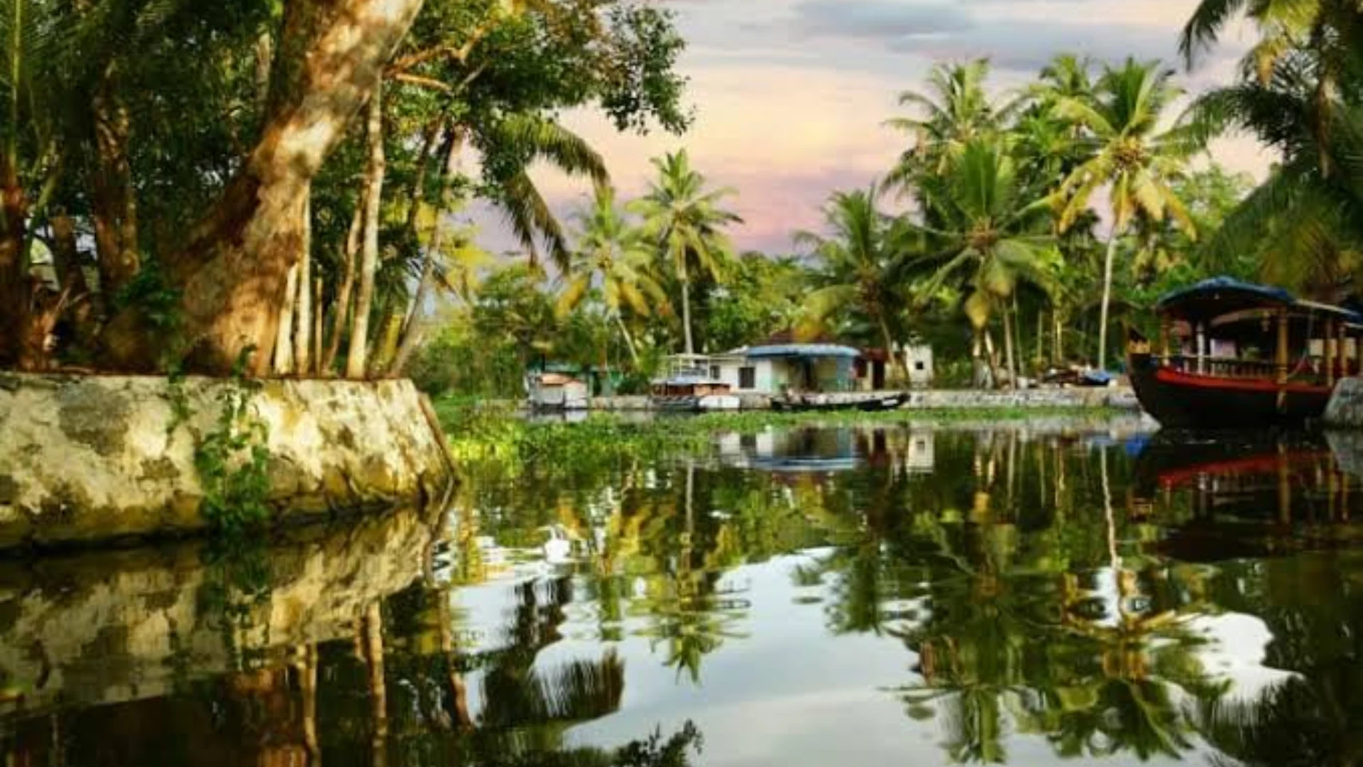 Alleppey Village Experience