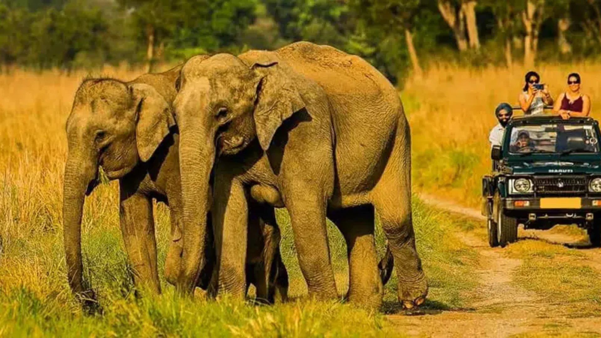 Jim Corbett & Nainital Tour